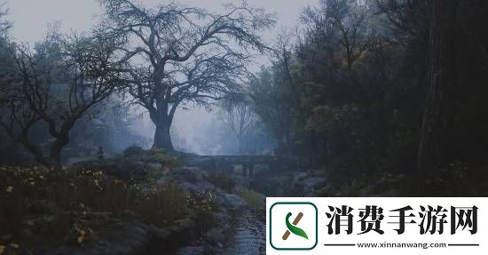 刺客信条影绝美风景欣赏