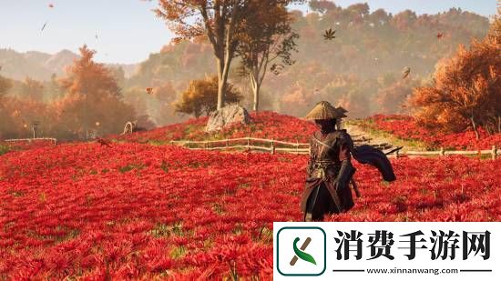刺客信条影绝美风景欣赏