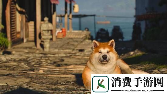 刺客信条影绝美风景欣赏