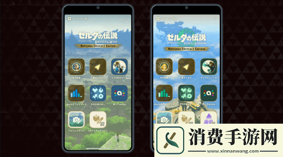 荒野之息&王国之泪NS2增强版