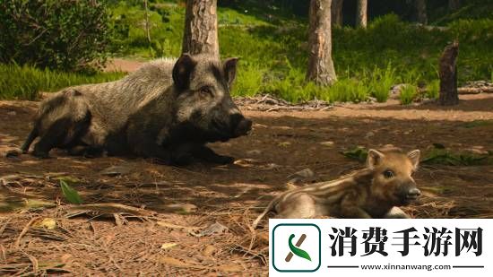 刺客信条影绝美风景欣赏