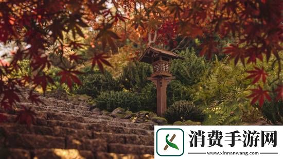 刺客信条影绝美风景欣赏