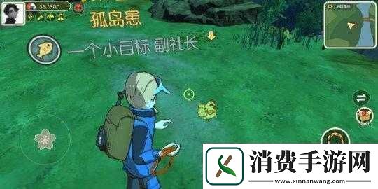 金色羽毛在小森生活中究竟有何妙用-全面攻略指南揭秘！