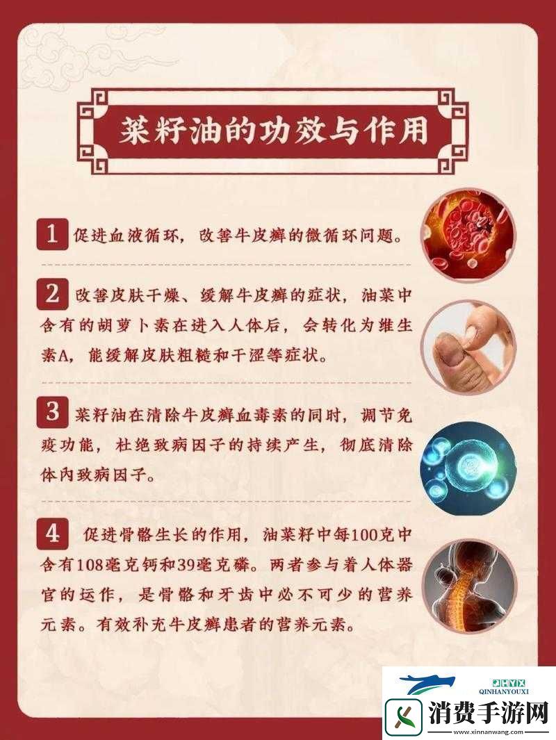 藏秘四十八油有何功效与作用深入了解其神奇之处大揭秘