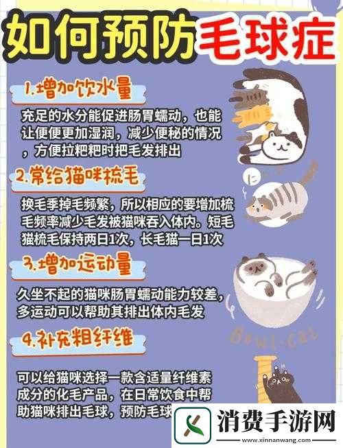 爆肝实测！小森生活猫毛球100%获取攻略，保姆级教程速存！