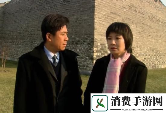 儿媳妇中字头2023最新电视剧：追寻家庭温情与人性真实