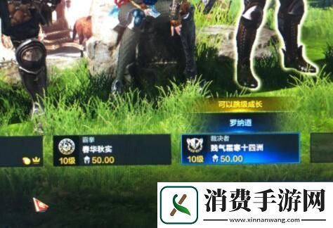 命运方舟跳级成长说明