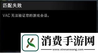 vac无法验证你的游戏会话怎么解决-CS2vac无法验证你的游戏会话解决方法