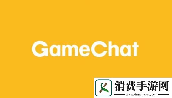 Switch2神秘C按键功能揭晓！语音通话和画面共享