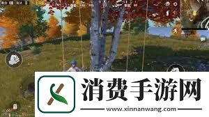 和平精英野餐彩蛋位置一览系统经验值获取最大化方案