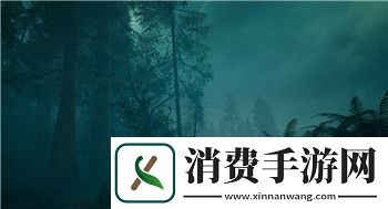 逆空使命为什么一直掉血-深入分析掉血原因及解决办法