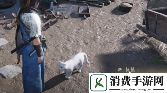 燕云十六声烧瓷岭猫咪在哪燕云十六声烧瓷岭猫戏全收集攻略