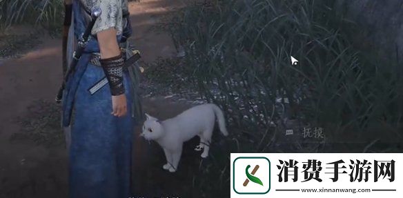 燕云十六声七阀坡猫咪在哪燕云十六声七阀坡猫戏全收集攻略