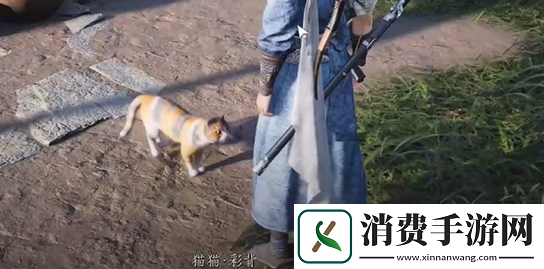 燕云十六声七阀坡猫咪在哪燕云十六声七阀坡猫戏全收集攻略