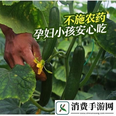 草莓樱桃丝瓜秋葵榴莲黄瓜大全