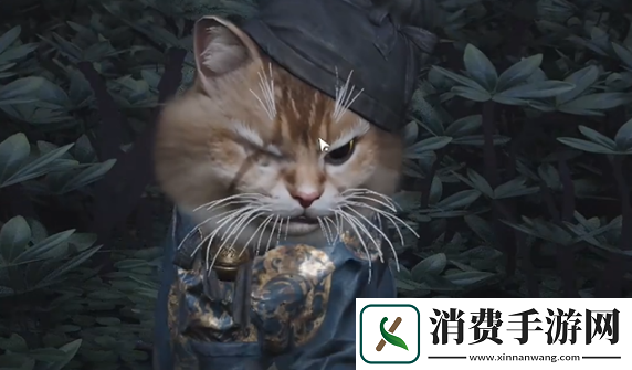 燕云十六声七阀坡猫咪在哪燕云十六声七阀坡猫戏全收集攻略