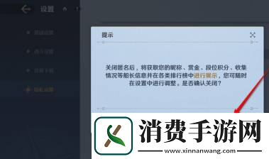 航海王壮志雄心排行榜信息匿名不显示设置方法航海王壮志雄心排行榜信息匿名不显示怎么设置