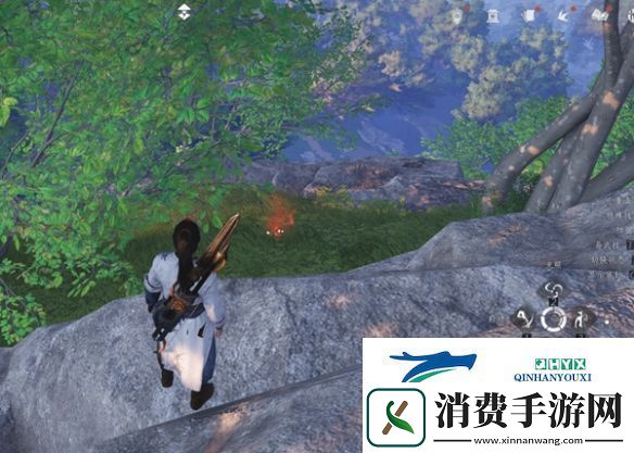星露谷物语征服山顶攻略解析