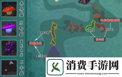 深入解析创造与魔法战宠排名助你打造最强战斗伙伴！