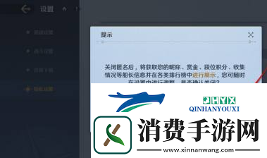 航海王壮志雄心排行榜信息匿名不显示设置方法航海王壮志雄心排行榜信息匿名不显示怎么设置