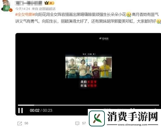 网友质疑向阳花被恶意打低分