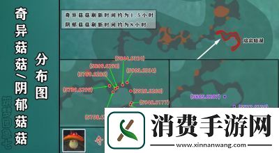 深入解析创造与魔法战宠排名助你打造最强战斗伙伴！