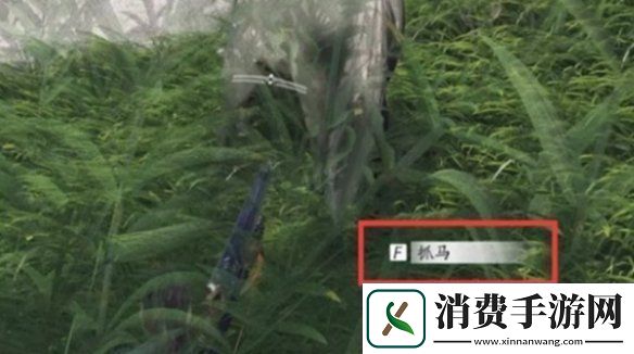 燕云十六声马怎么抓燕云十六声抓马技巧