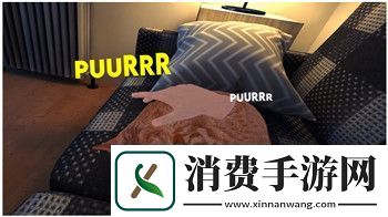 米拉奇战记攻略之兵种克制：掌握兵种克制关系-提升战斗策略优势