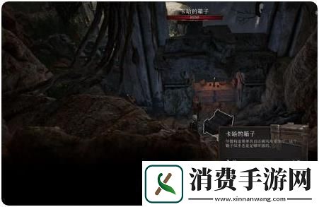博德之门3卡哈的秘密任务攻略一览