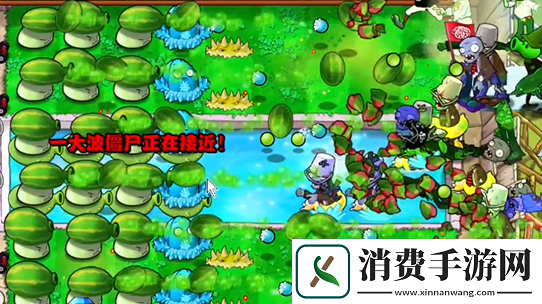 植物大战僵尸杂交版泳池防守第六关怎么过