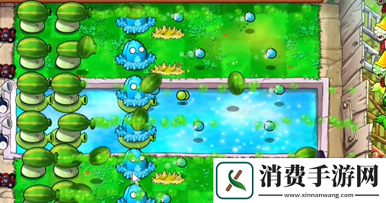 植物大战僵尸杂交版泳池防守第六关怎么过