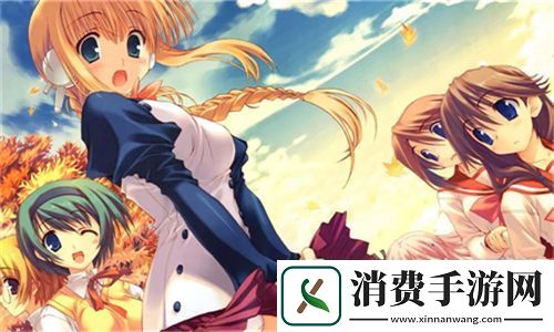 欧亚专线欧洲S码WMY全部资讯：深入解析最新物流动态与市场发展前景
