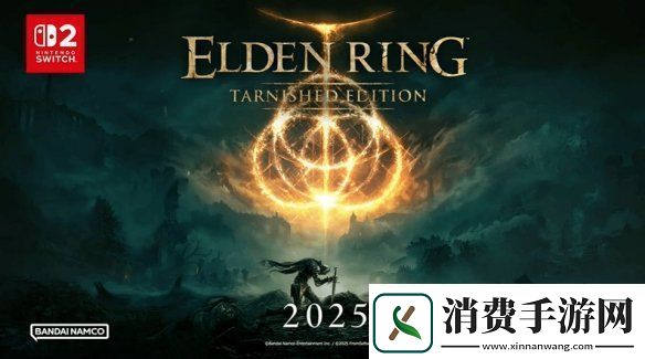 玩家对比艾尔登法环NS2版与PS4版阴影渲染画质