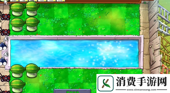 植物大战僵尸杂交版泳池防守第六关怎么过