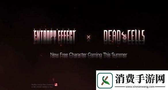 双厨狂喜!苍翼