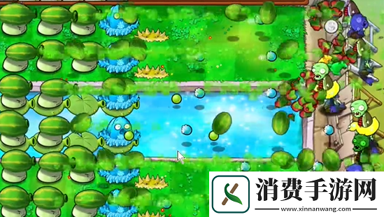 植物大战僵尸杂交版泳池防守第六关怎么过