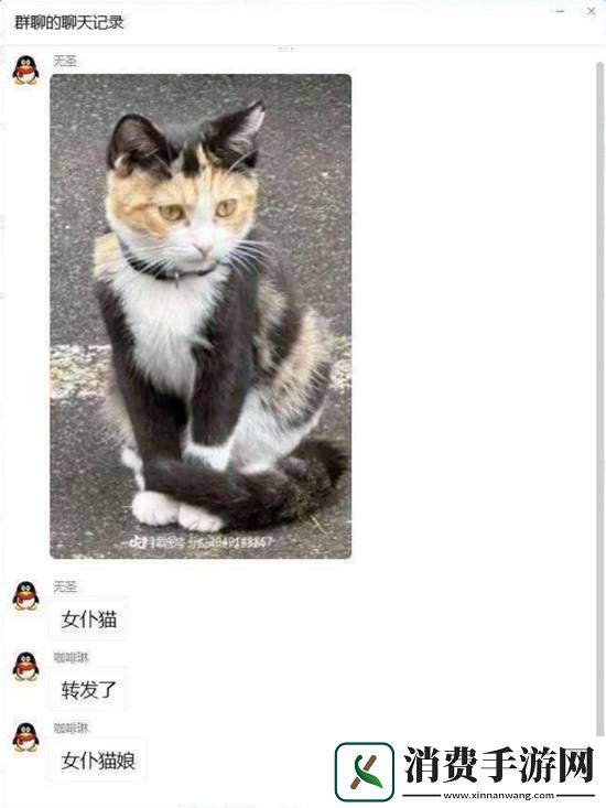 看到女友精心配袜袜