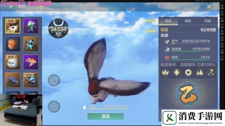 妄想山海吞蛋进化全攻略解锁宠物战力新高度