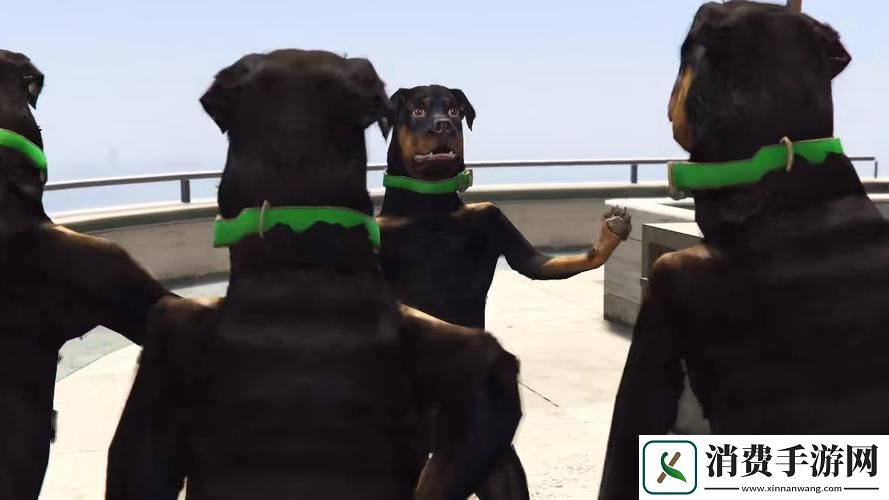 GTA5隐藏乐趣揭秘小查任务的触发秘籍