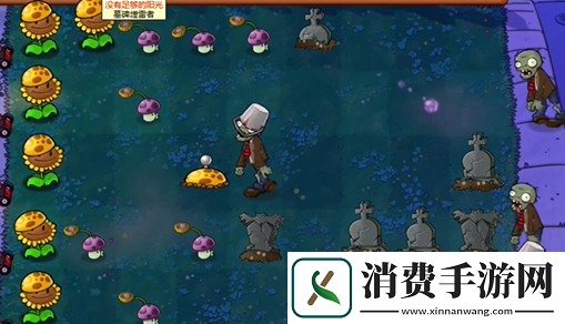 植物大战僵尸杂交版前院告急第十一关怎么过