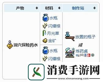 泰拉瑞亚探险家的宝藏——稀有物品全揭秘