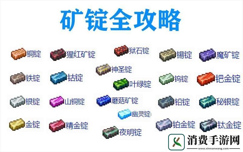 泰拉瑞亚探险家的宝藏——稀有物品全揭秘