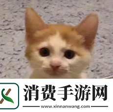 黄金服搬砖工自曝