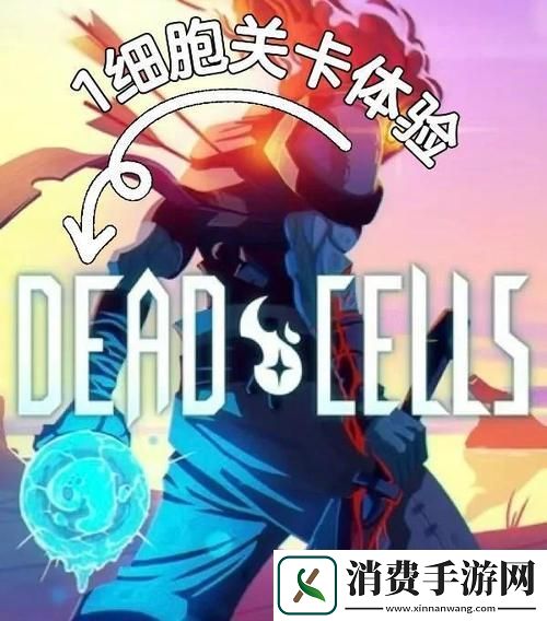 重生细胞导入别人的云存档全解析