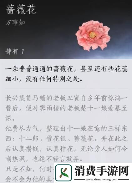 学习燕云十六声蔷薇风信任务怎么做
