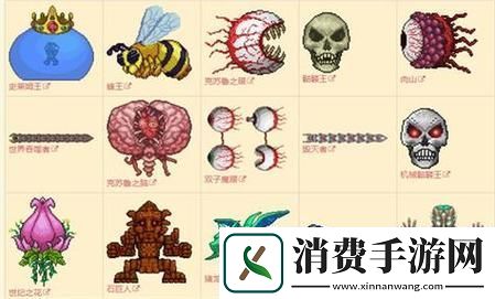 泰拉瑞亚探险宝典揭秘肉山前后BOSS战全攻略大放送