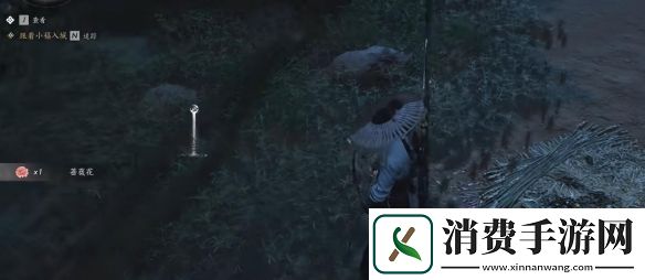 学习燕云十六声蔷薇风信任务怎么做
