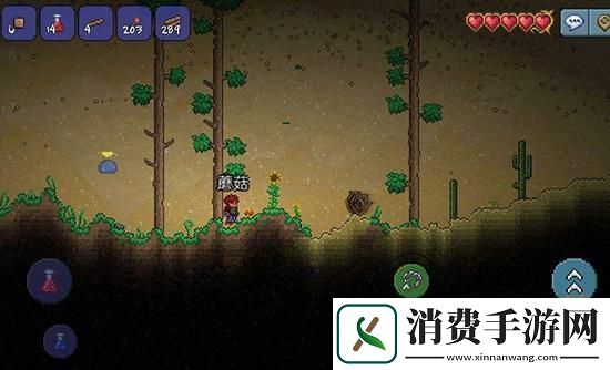 泰拉瑞亚沙尘暴事件触发条件与玩法全解析