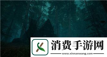 口袋喵喵为什么登录不上账号了呢怎么办-常见问题解析与解决方案