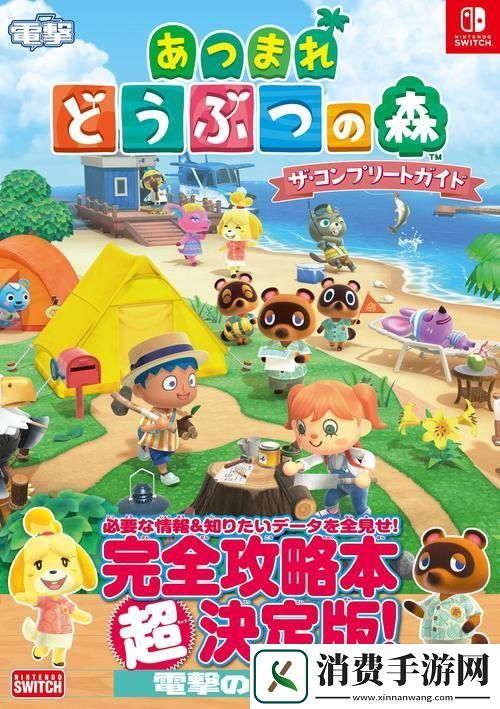 动物森友会踏上你的创意铺路艺术探险